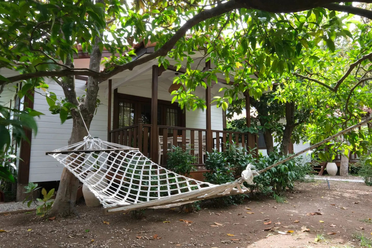 Ağaçların altında verandalı ahşap ev ve hamak