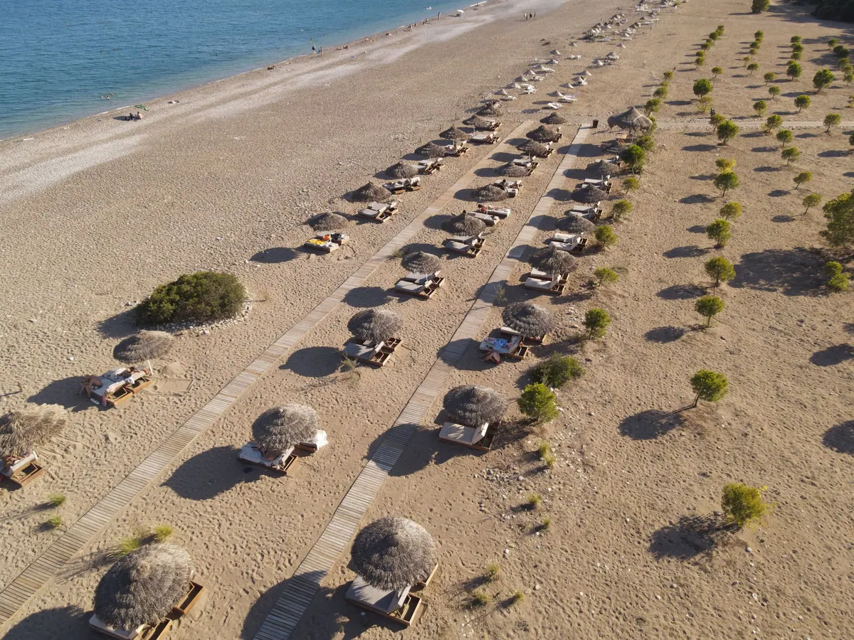Kıyı boyunca şemsiyeler ve deniz, yukarıdan