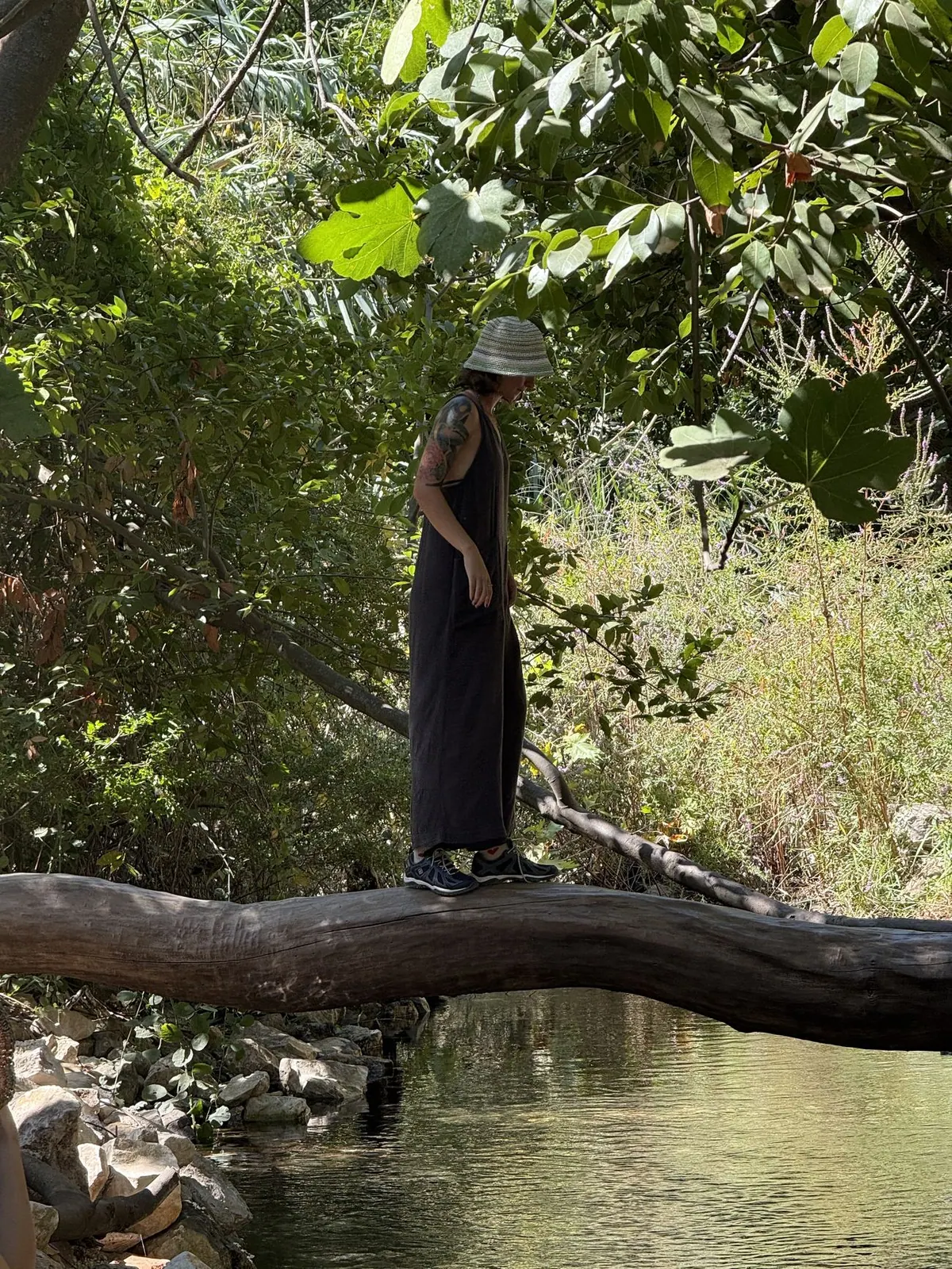 Olympos vadisinde dere üzerine devrilmiş ağaçta duran biri